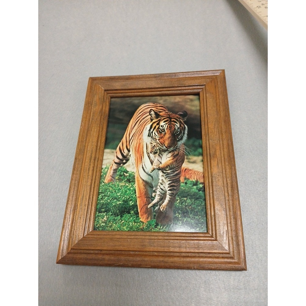 Tiger with Baby Cub Print- Shadowbox Frame-NO GLASS‎